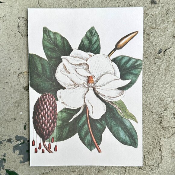 The Laurel Tree of Carolina Blank Card - Picture 4 of 12